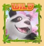 panda-party-wild